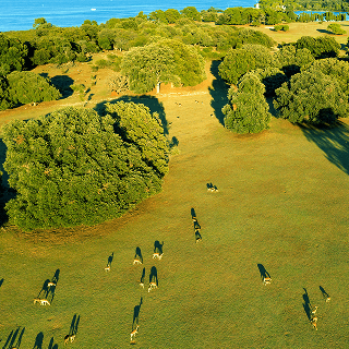 Parco Nazionale di Brioni
