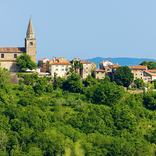 Grisignana
